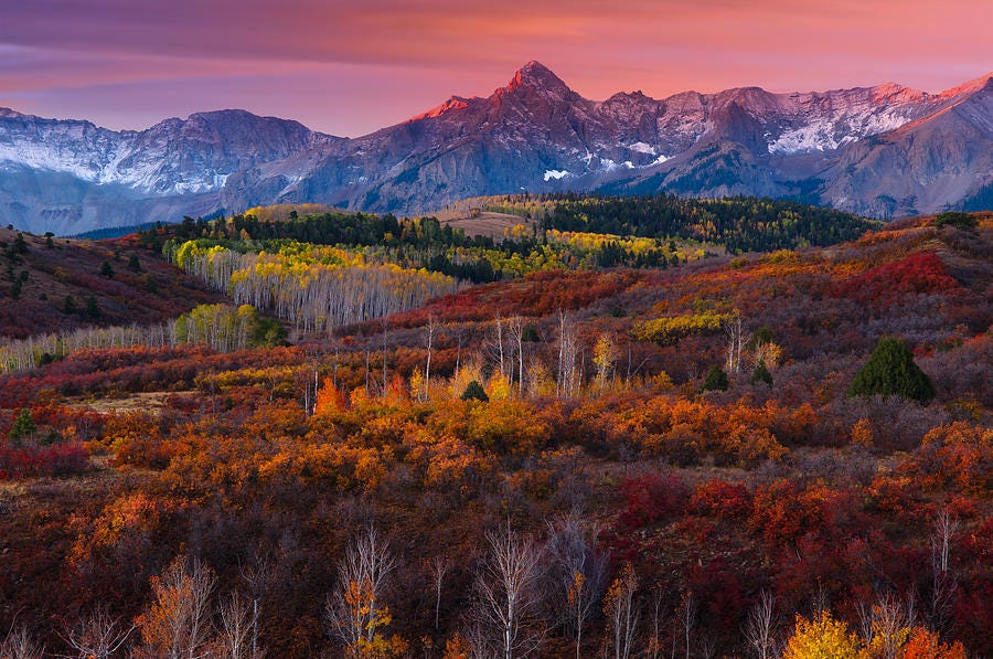Purple Mountains Majesty Photograph by Tim Reaves