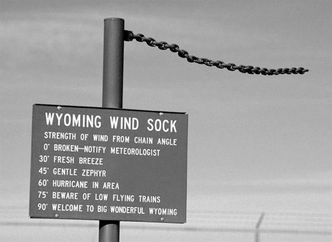 In the Company of Plants and Rocks: See the Wind?