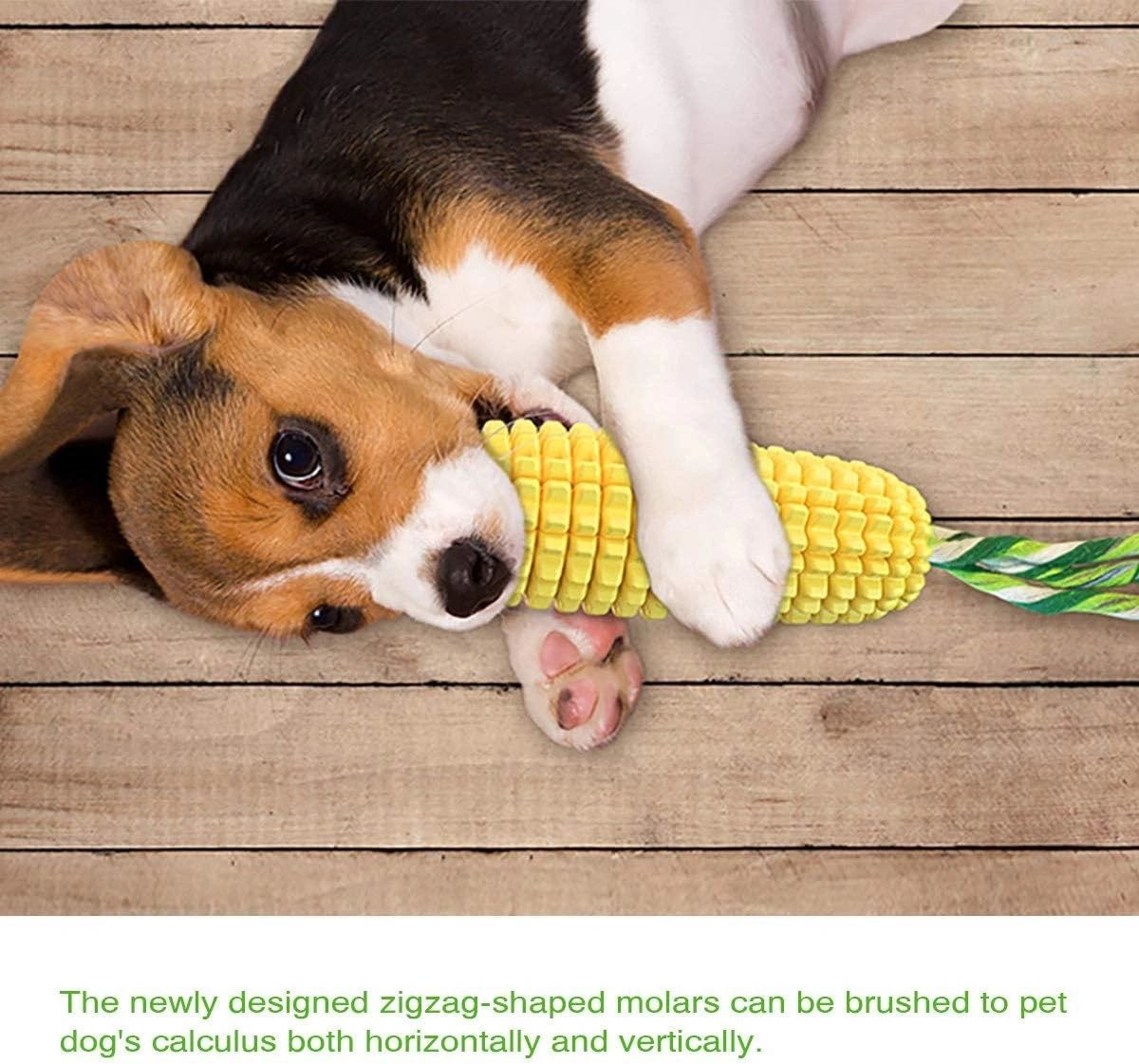 beagle puppy chewing corn, Carllg Chewers Corn Chew: Durable and effective at helping to clean teeth.