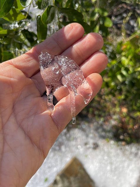 Image 1: close-up of sleet, which looks like a cluster of round balls of ice, Image 2: Landscape covers with sleet on them, Image 3: a human hand holding an oak leaf covered in a layer of ice, Image 4: leaves covered in a thin layer of ice, but the sun is shining on them, Image 5: the same leaves now without the ice covering them, Image 6: a hand holding the ice cast that had been on the leaves, Image 7: magnolia leaves covered in ice, Image 8: one of the leaves with the ice removed, Image 9: the ice cast of the magnolia leaf