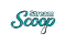 StreamScoop