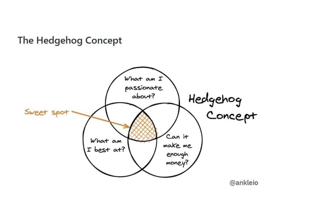 Có thể là đồ họa về bản thiết kế và văn bản cho biết 'The Hedgehog Concept What aw I passionate about? Sweet spot what a I best at? Hedgehog Concept can it make me enough money? @ankleio'