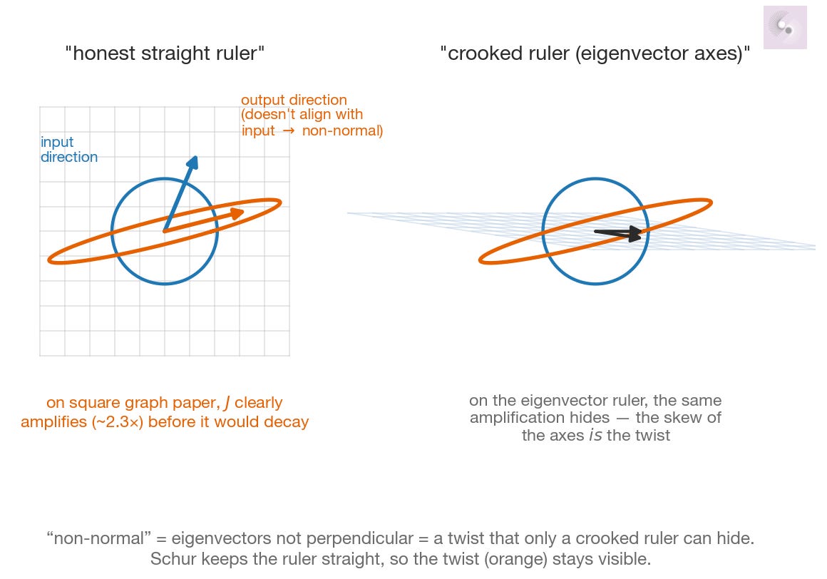 On square graph paper, J maps the input circle (blue) to a tall ellipse reaching ~2.3× out, and its leading input and output directions visibly disagree. On the skewed eigenvector ruler, the same amplification reads as ordinary scaling — it hides.