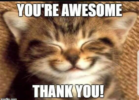27 Shareable 'You Are Awesome' Memes | Fairygodboss