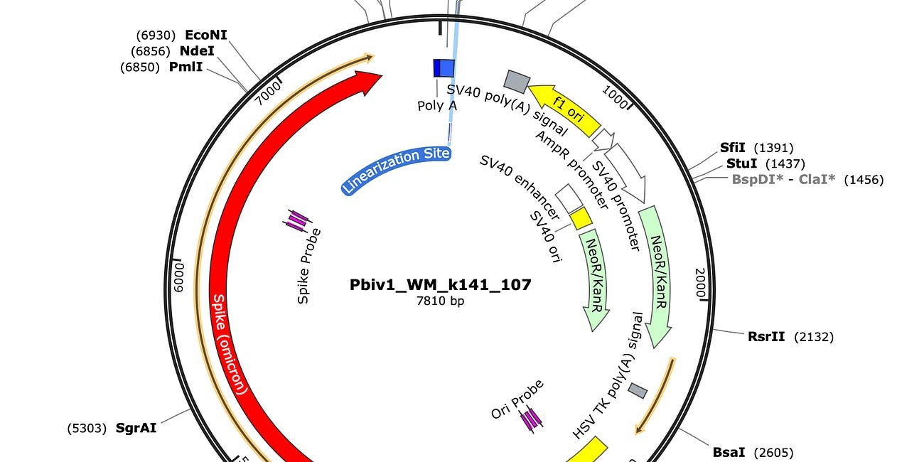 The MedGen qPCR kit Update