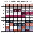 2024 U.S. Top Causes of Death by Age Group, Preliminary