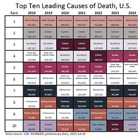 2024 U.S. Top Causes of Death by Age Group, Preliminary