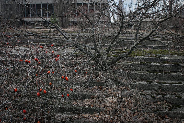 Photos: Chernobyl/Exclusion zone, Pripyat, Ukraine by Oleg Klimov, 2011