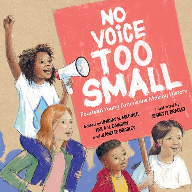 NoVoiceTooSmall_cover_web.jpg