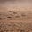 The Great Desert