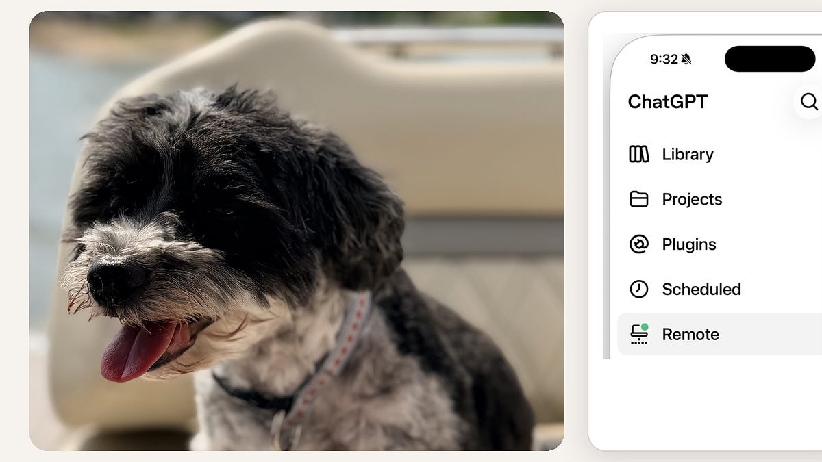 Walking my dog. My new favorite way to use AI. 