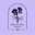 Wildflora Tarot's avatar