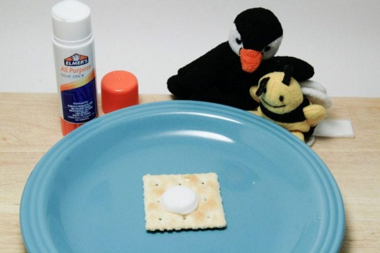 Glue Stick Taste Test Original Elmers Glue Stick Taste Test Original Elmers