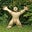 John Hawkins's avatar