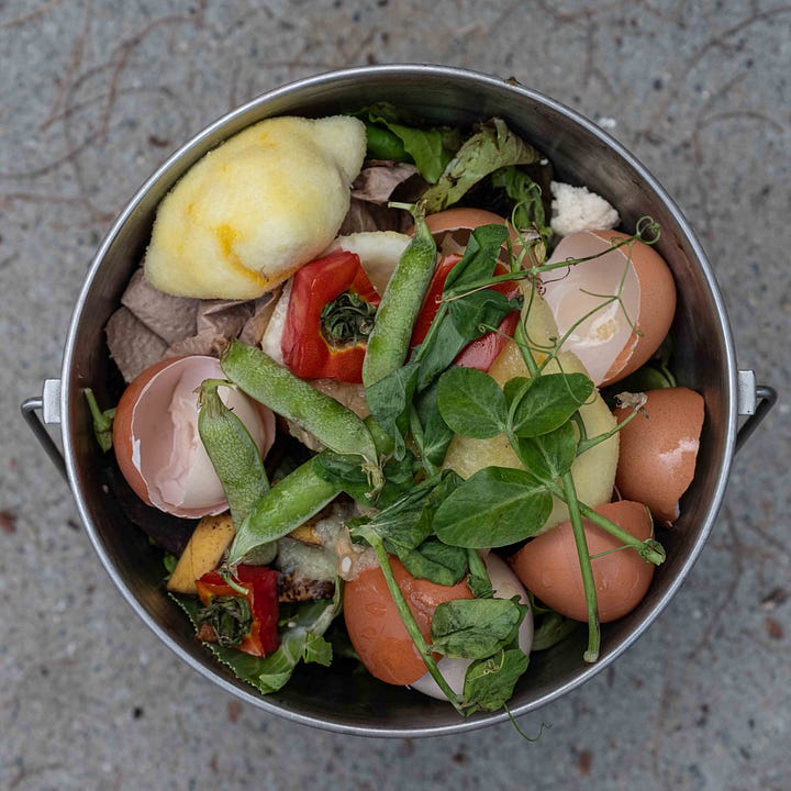 Diptych: Both photos show an aerial view of a compost bucket. Both contain a mix of food scraps, including red stuff - - tomatoes in one, strawberries in the other.