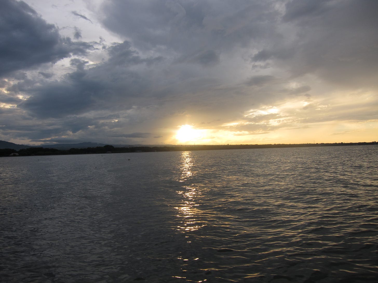 IMG_3769 IMG_3769