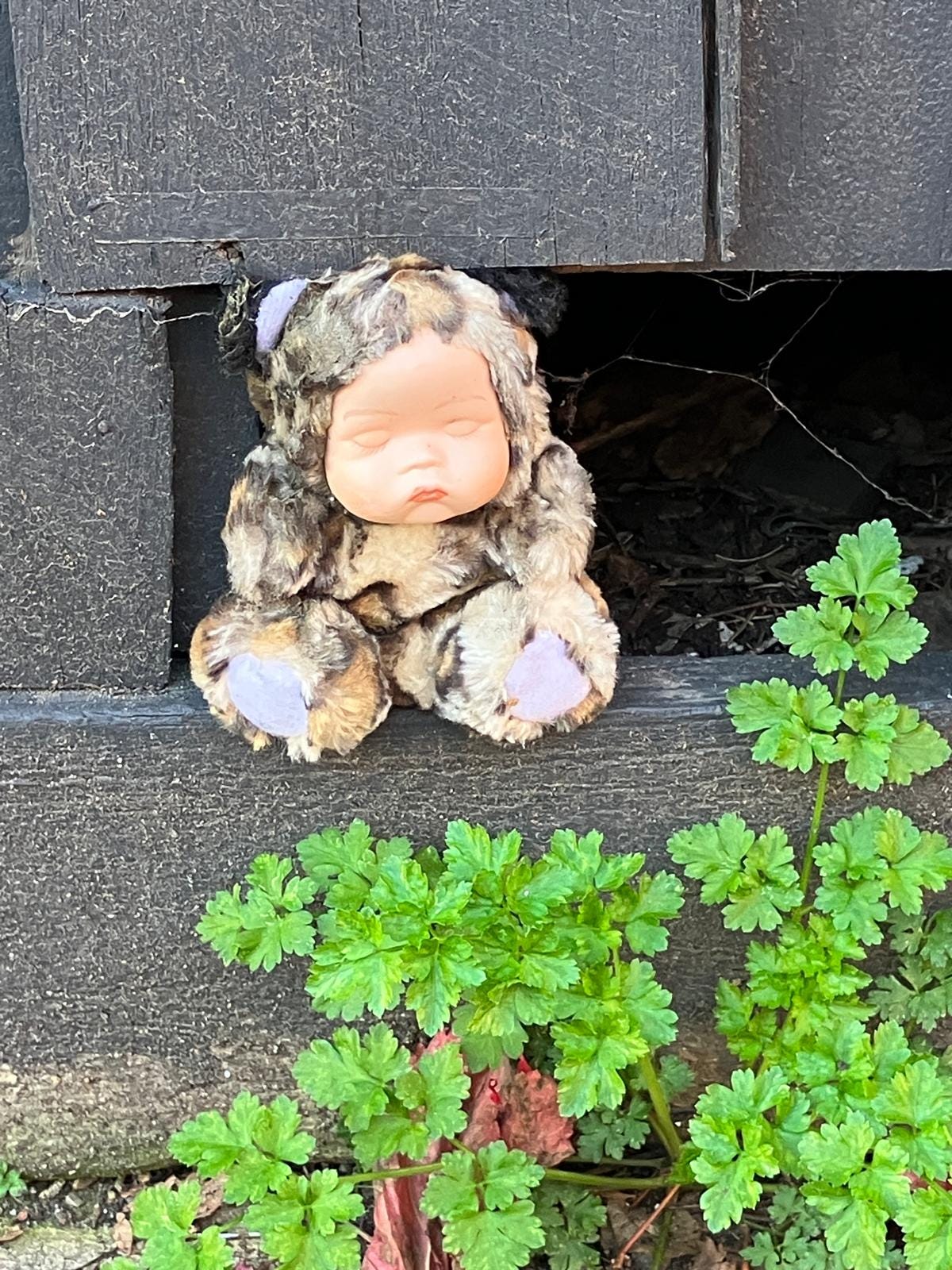 Photo of a soft toy with a dolls face stuck on it, sitting in a hole in a wall on the street