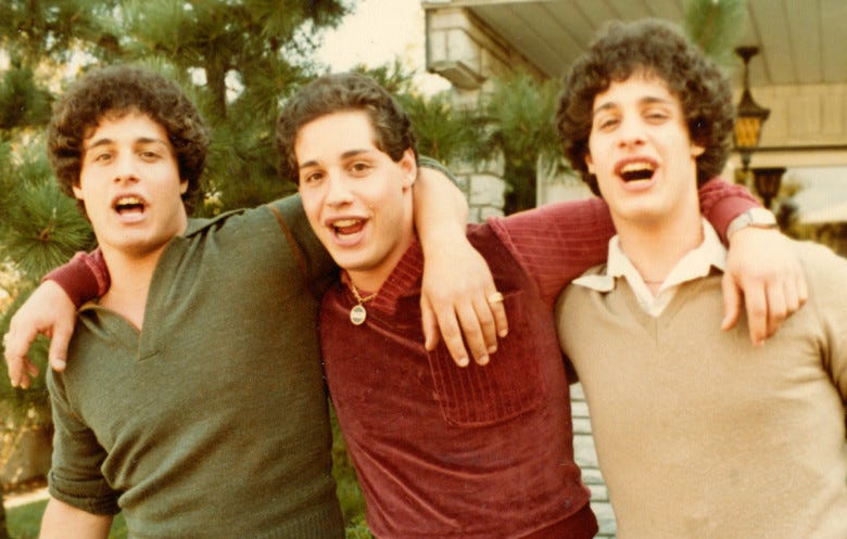 the incredible journey of three identical strangers the incredible journey of three identical strangers