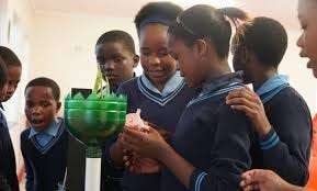 Recycling gets Bizana pupils thinking ...