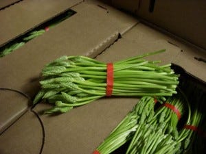 From France comes the elusive wild asparagus. Shhhhh. 
