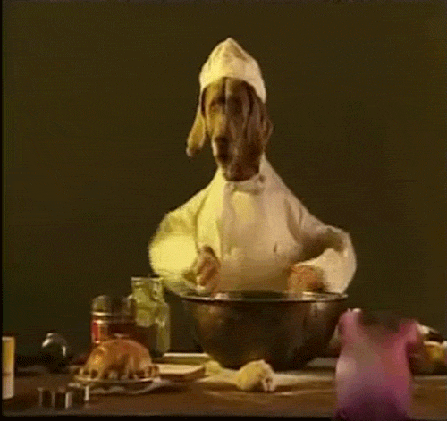 Dog Cooking GIF Dog Cooking GIF