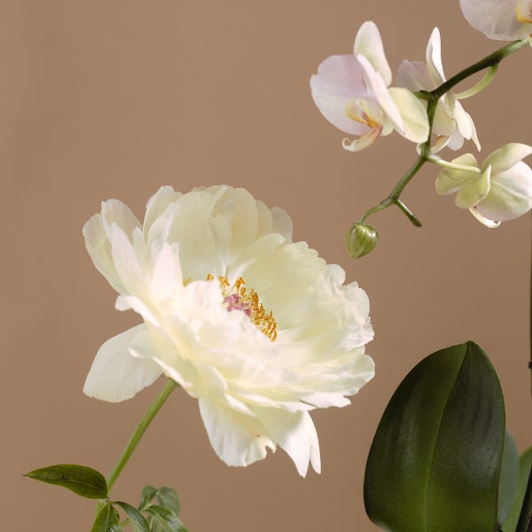 é ai que você se engana