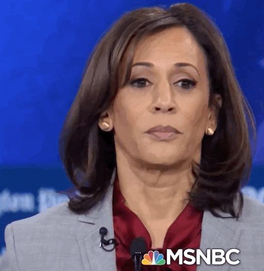 Democratic Debate GIF by GIPHY News Democratic Debate GIF by GIPHY News