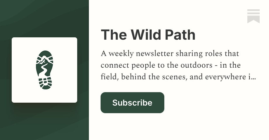 The Wild Path | Substack