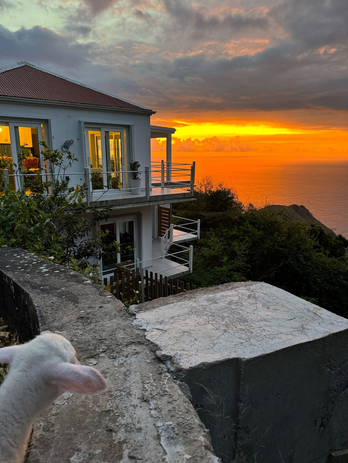 Sunrise with Woolley