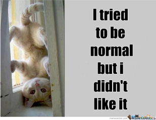 Normality | trezvennost