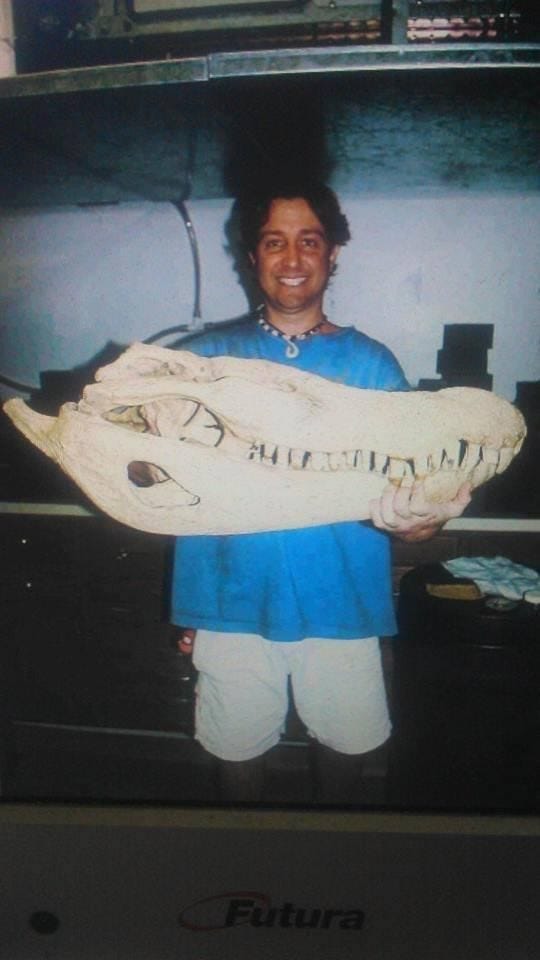 r/badassanimals - The skull of a large black caiman r/badassanimals - The skull of a large black caiman