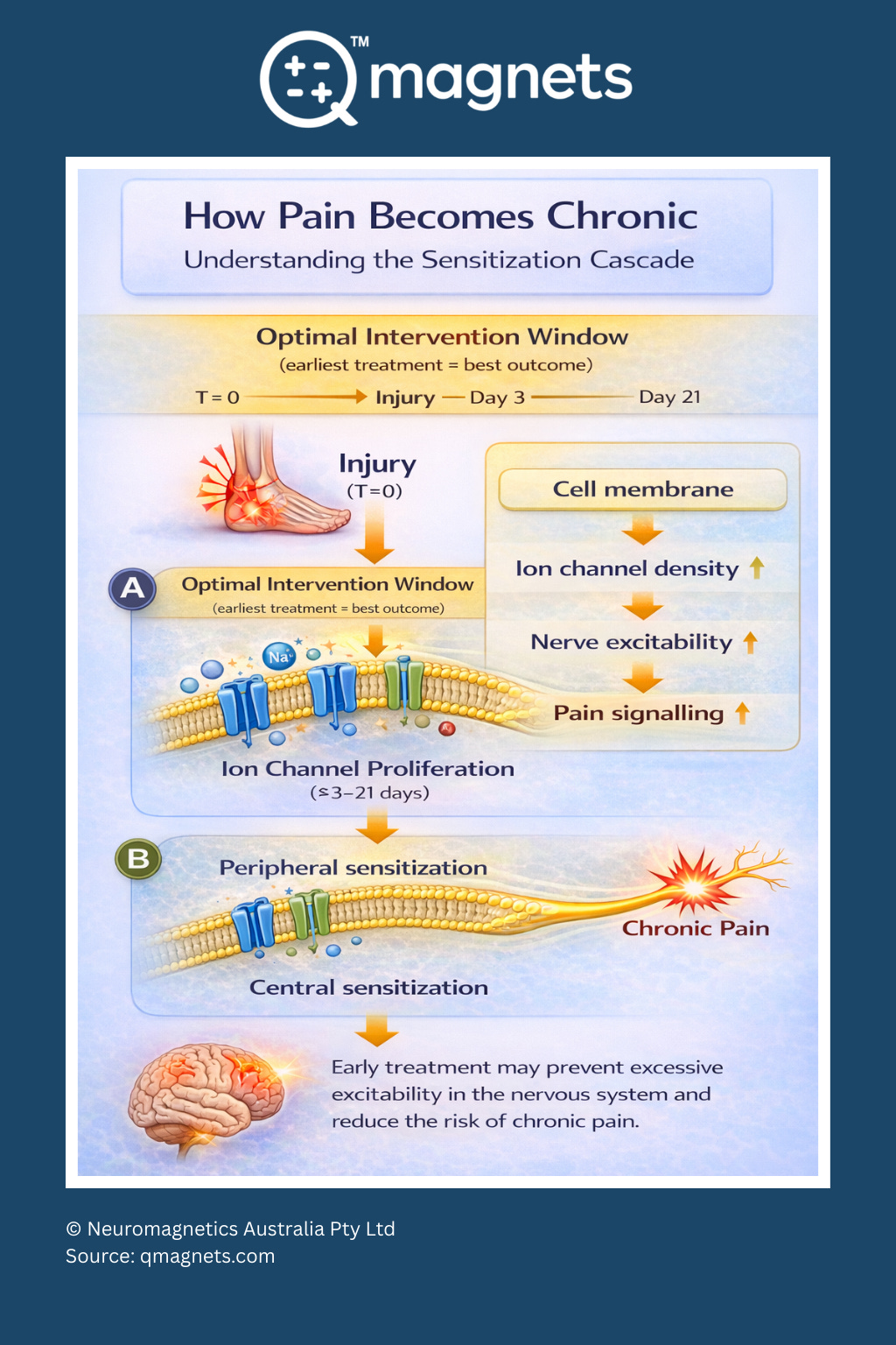 Infographic showing how pain becomes chronic through the sensitization cascade after injury.
