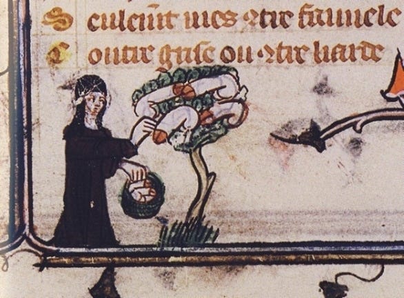 File:Marginalia en Roman de la Rose.jpg