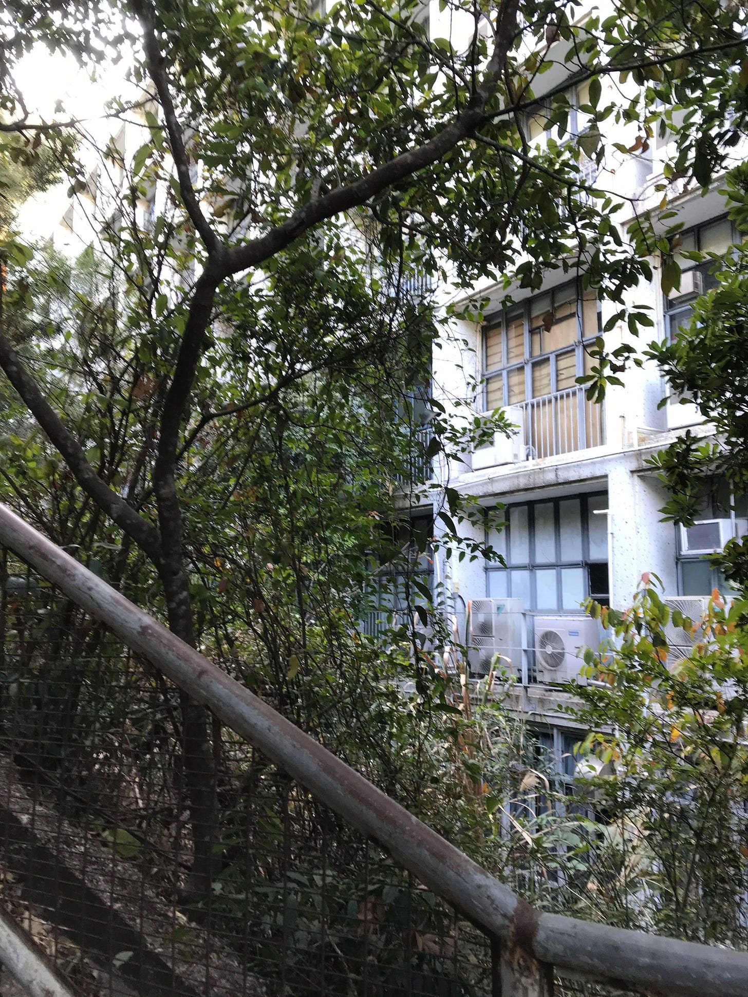Stairs uphill to the beginning of the trail to Jardine’s Hill, located behind the Chinese International School Stairs uphill to the beginning of the trail to Jardine’s Hill, located behind the Chinese International School