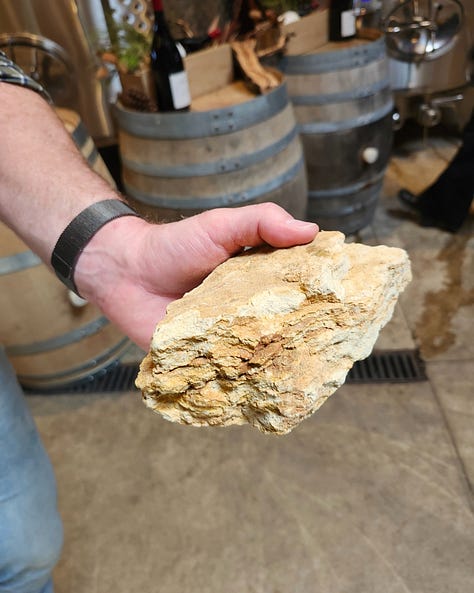 Luxury winery tour, beautiful cellar, vineyard soil, and Oregon wine country hospitality