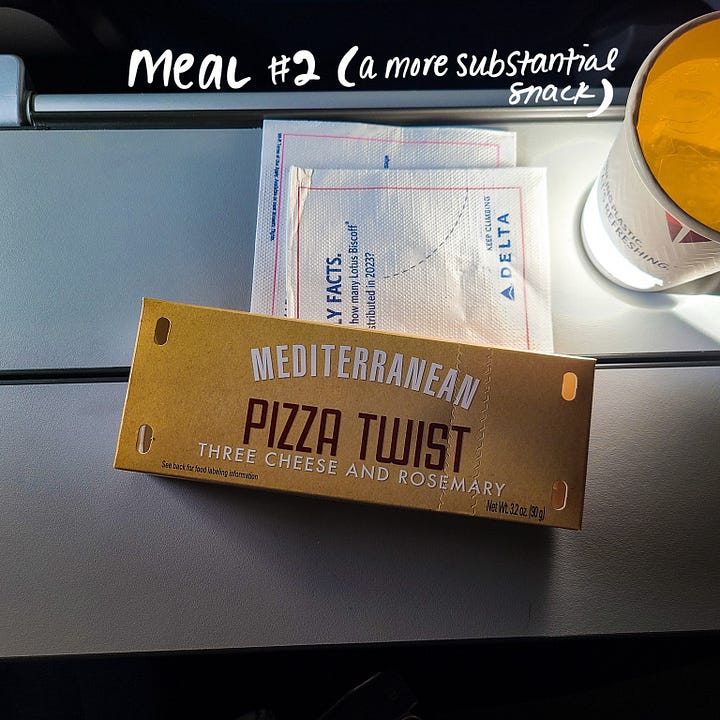 Delta airline meal #2 (substantial snack)