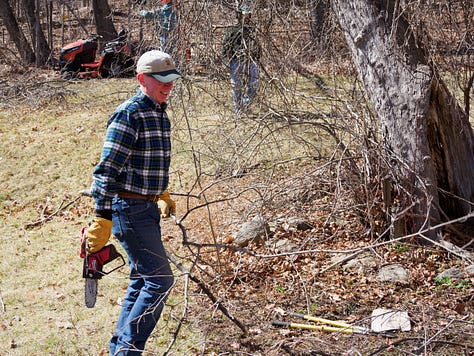 Old guys clearing brush