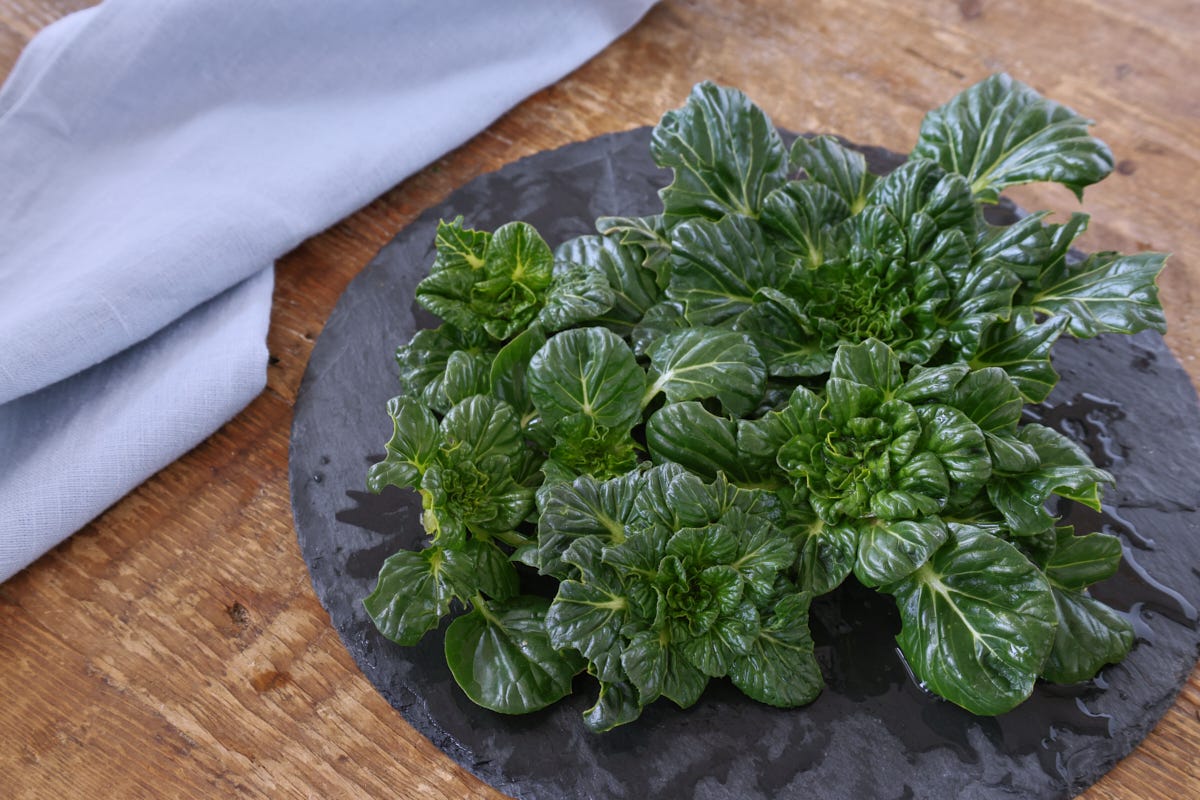 tatsoi in a tray with a napkin tatsoi in a tray with a napkin
