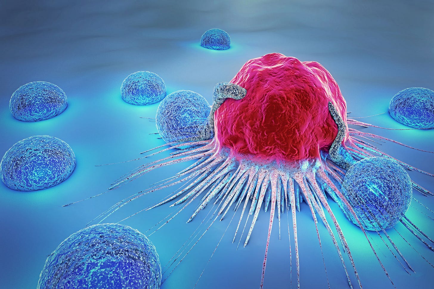 Die Entstehung von Krebs - IOZK