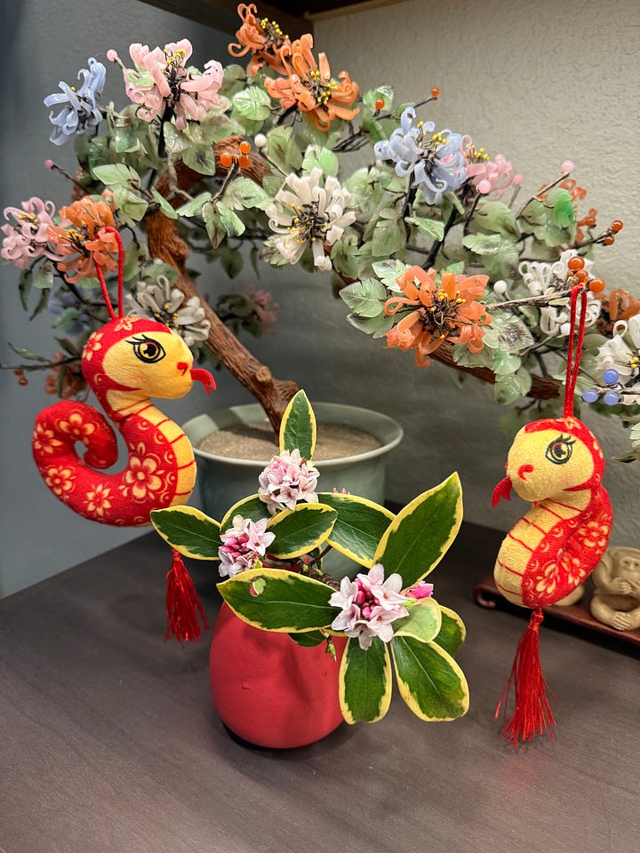 Year of the snake