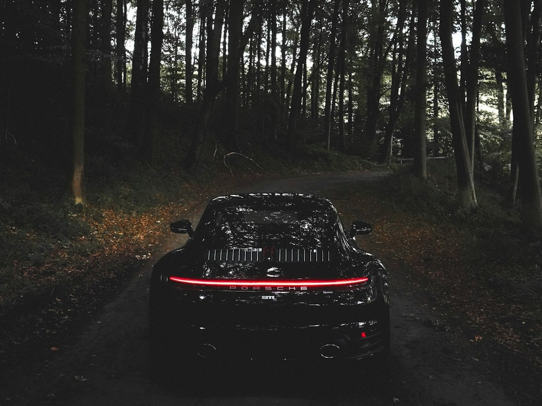 black car on forest during daytime black car on forest during daytime