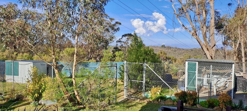 One of the possum enclosures with the nursery and hutch on the left