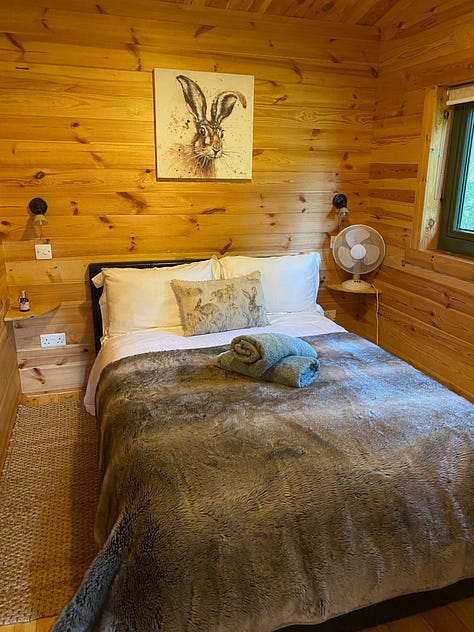 inside the cabin showing kitchen diner area, living room and bedroom