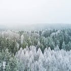 2025: A year for creation