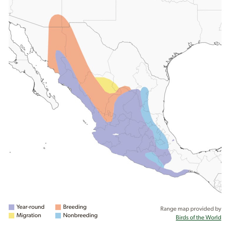 Screenshot 2025-09-04 at 10.09.02 AM.png Screenshot 2025-09-04 at 10.09.02 AM.png