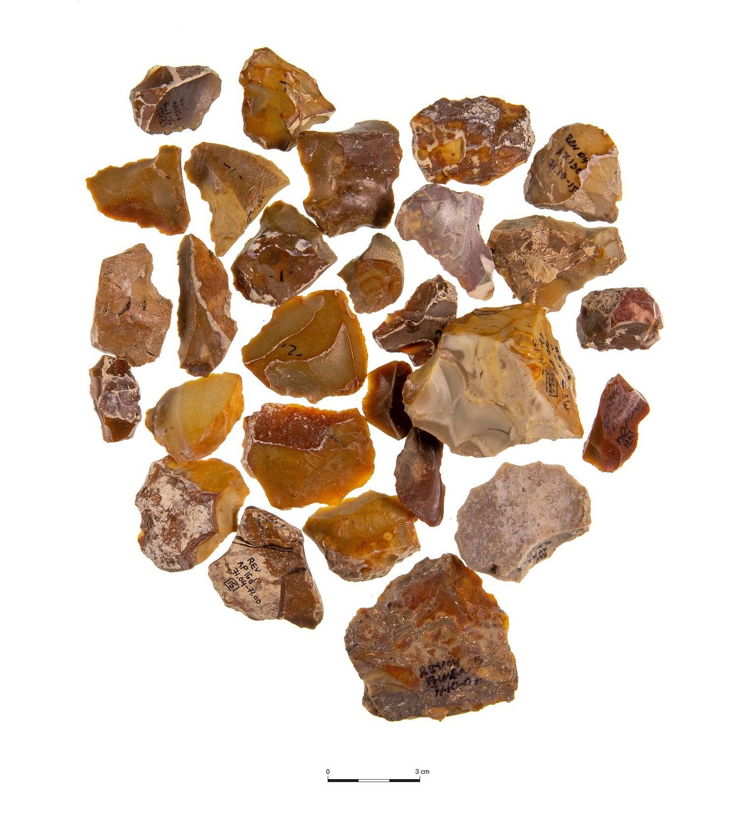 Collectors in the prehistoric world recycled old stone tools to preserve the memory of their ancestors Collectors in the prehistoric world recycled old stone tools to preserve the memory of their ancestors