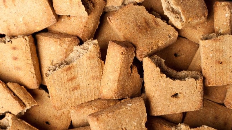 They Are Experimenting on Your Dog