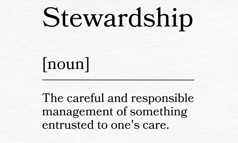 My Word for 2026: Stewardship - Motivated Mom