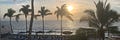 Helen Dolland