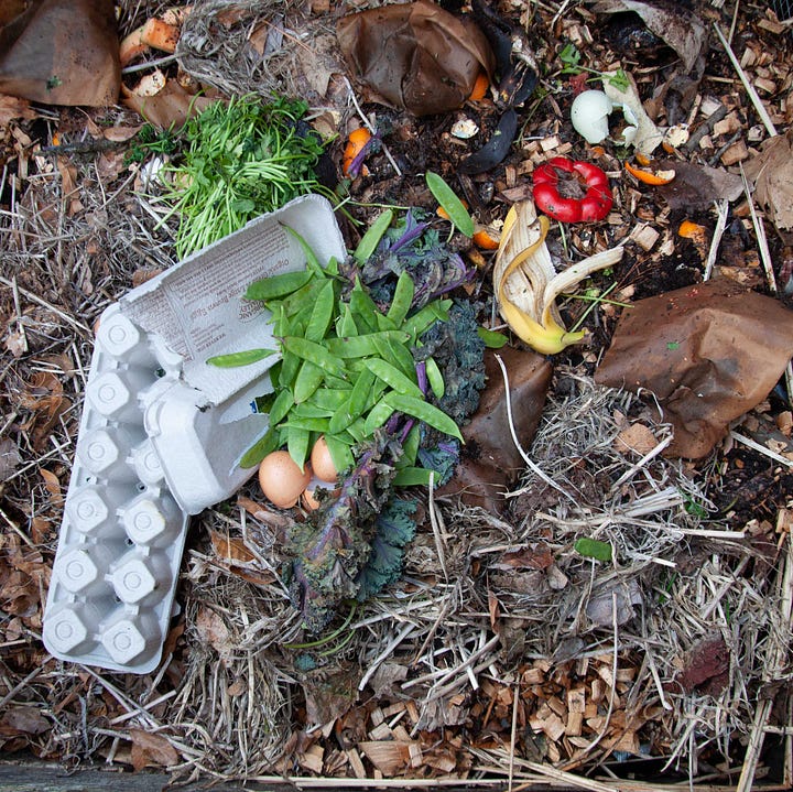 Diptych: Compost with egg carton and pea pods; Small cascade of water in a small stream.